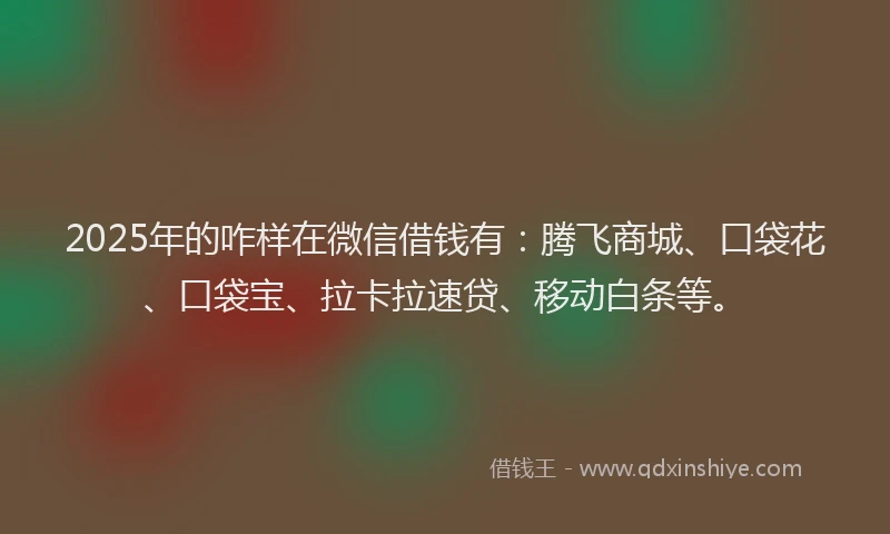 2025年的咋样在微信借钱有：腾飞商城、口袋花、口袋宝、拉卡拉速贷、移动白条等。