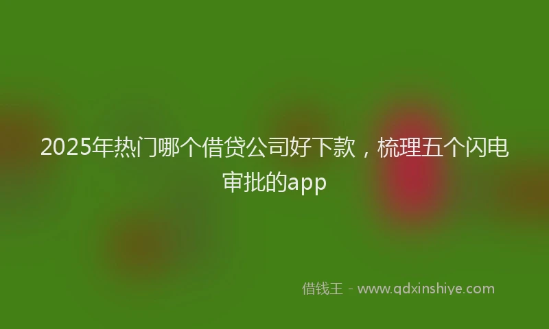 2025年热门哪个借贷公司好下款，梳理五个闪电审批的app