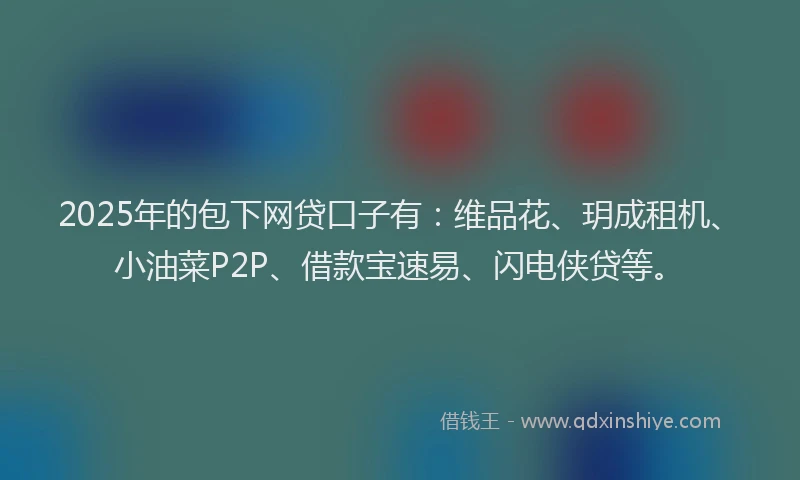 2025年的包下网贷口子有：维品花、玥成租机、小油菜P2P、借款宝速易、闪电侠贷等。