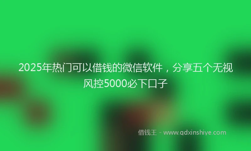 2025年热门可以借钱的微信软件，分享五个无视风控5000必下口子