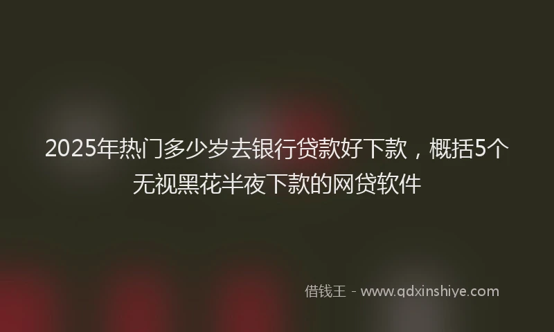2025年热门多少岁去银行贷款好下款，概括5个无视黑花半夜下款的网贷软件