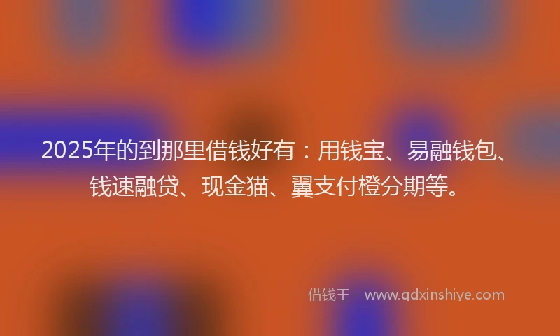 2025年的到那里借钱好有：用钱宝、易融钱包、钱速融贷、现金猫、翼支付橙分期等。