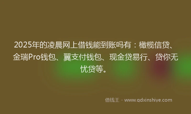 2025年的凌晨网上借钱能到账吗有：橄榄信贷、金瑞Pro钱包、翼支付钱包、现金贷易行、贷你无忧贷等。