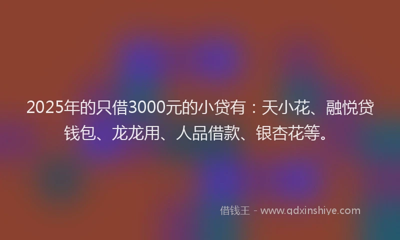 2025年的只借3000元的小贷有：天小花、融悦贷钱包、龙龙用、人品借款、银杏花等。