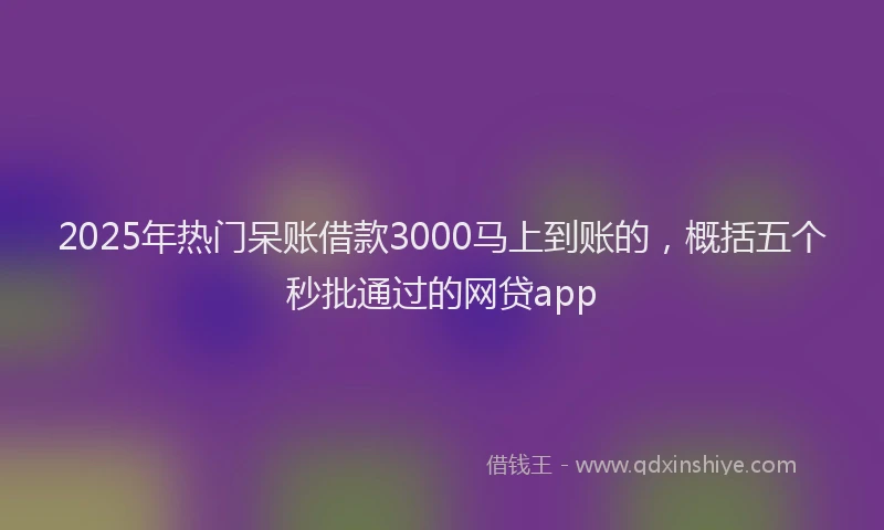 2025年热门呆账借款3000马上到账的，概括五个秒批通过的网贷app