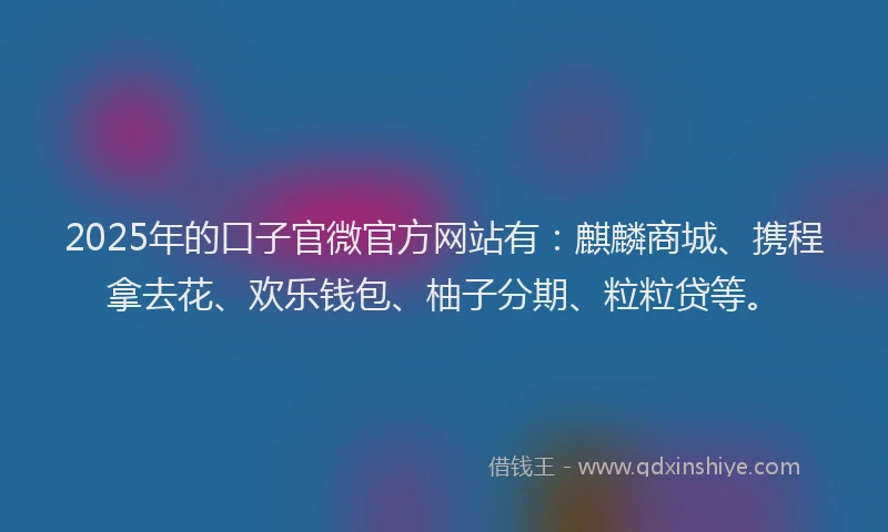 2025年的口子官微官方网站有：麒麟商城、携程拿去花、欢乐钱包、柚子分期、粒粒贷等。