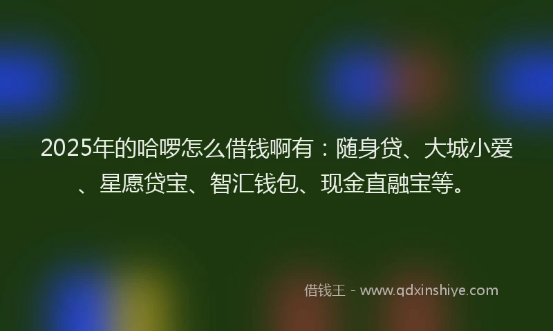 2025年的哈啰怎么借钱啊有：随身贷、大城小爱、星愿贷宝、智汇钱包、现金直融宝等。