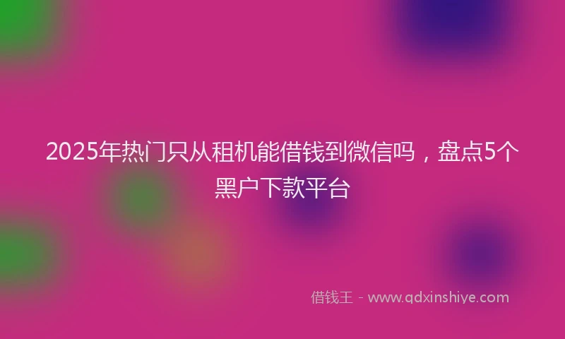 2025年热门只从租机能借钱到微信吗，盘点5个黑户下款平台