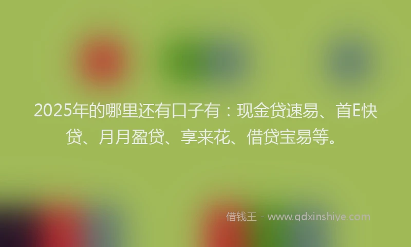 2025年的哪里还有口子有：现金贷速易、首E快贷、月月盈贷、享来花、借贷宝易等。