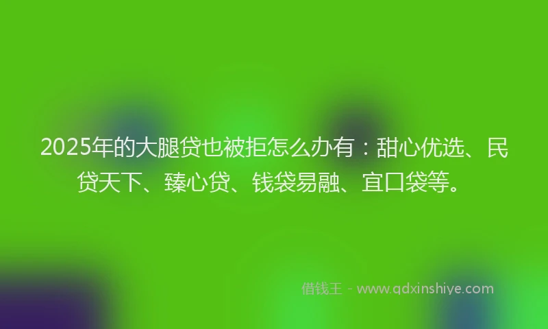 2025年的大腿贷也被拒怎么办有：甜心优选、民贷天下、臻心贷、钱袋易融、宜口袋等。