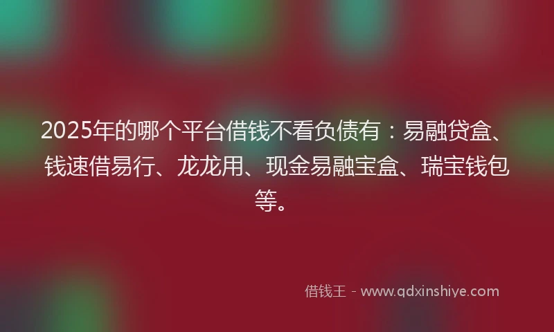2025年的哪个平台借钱不看负债有：易融贷盒、钱速借易行、龙龙用、现金易融宝盒、瑞宝钱包等。