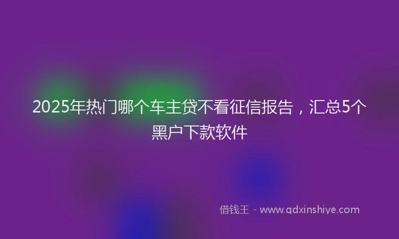 2025年热门哪个车主贷不看征信报告，汇总5个黑户下款软件