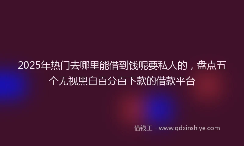 2025年热门去哪里能借到钱呢要私人的，盘点五个无视黑白百分百下款的借款平台