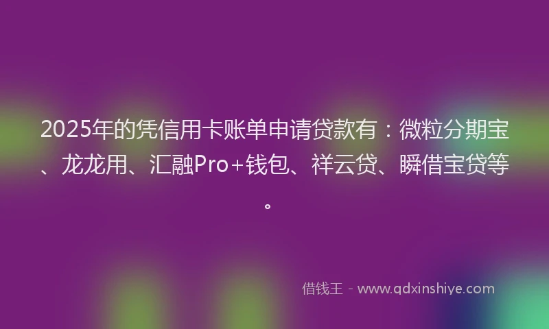 2025年的凭信用卡账单申请贷款有：微粒分期宝、龙龙用、汇融Pro+钱包、祥云贷、瞬借宝贷等。