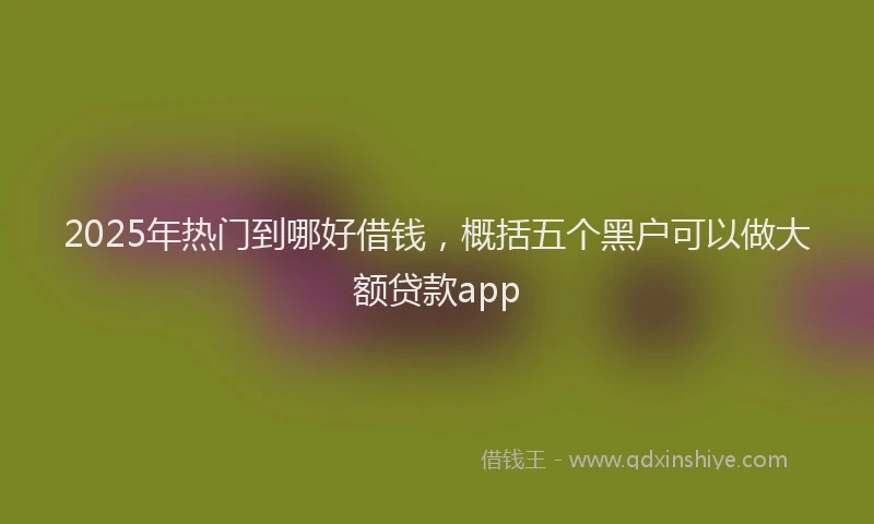 2025年热门到哪好借钱，概括五个黑户可以做大额贷款app