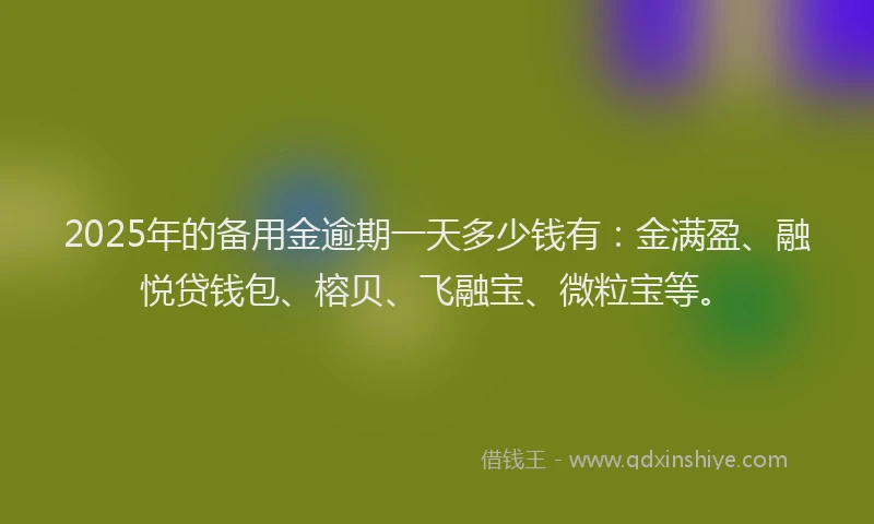 2025年的备用金逾期一天多少钱有：金满盈、融悦贷钱包、榕贝、飞融宝、微粒宝等。