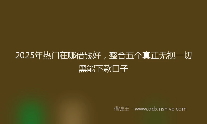 2025年热门在哪借钱好，整合五个真正无视一切黑能下款口子