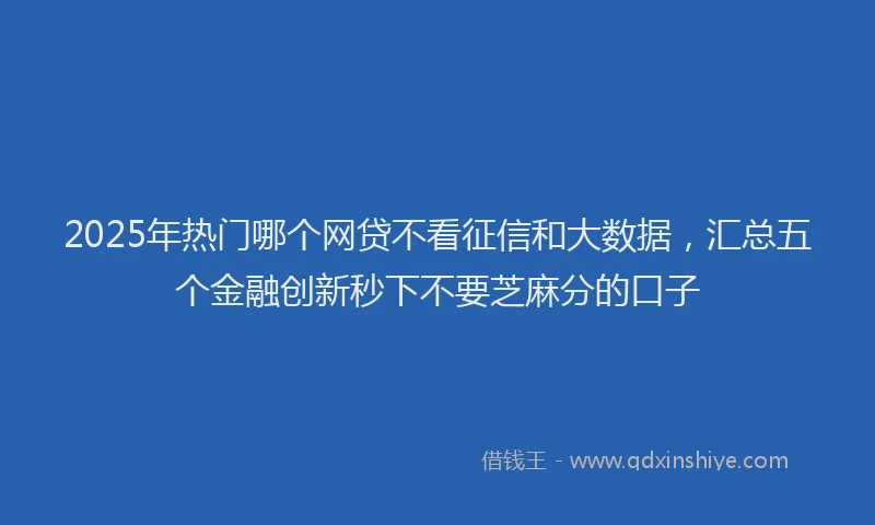 2025年热门哪个网贷不看征信和大数据，汇总五个金融创新秒下不要芝麻分的口子