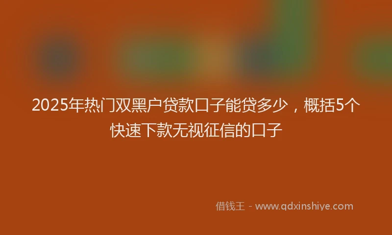 2025年热门双黑户贷款口子能贷多少，概括5个快速下款无视征信的口子