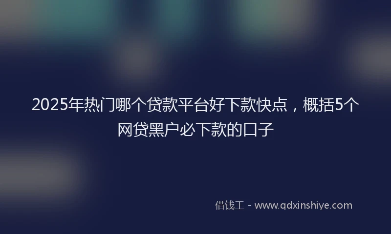 2025年热门哪个贷款平台好下款快点，概括5个网贷黑户必下款的口子