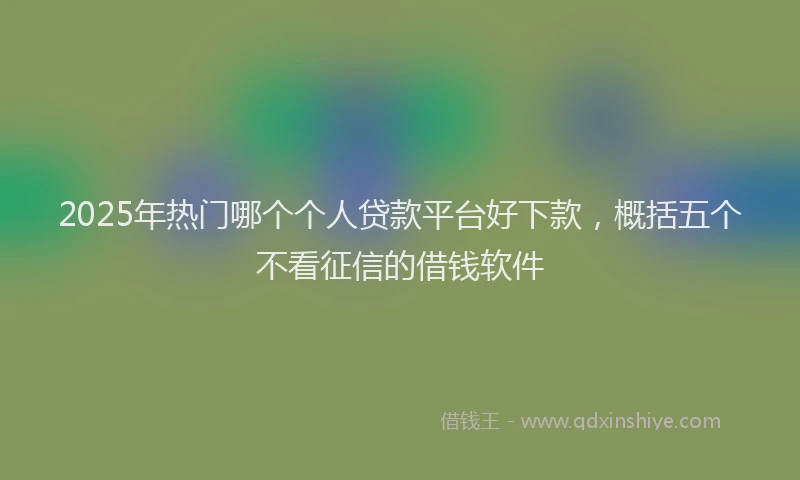 2025年热门哪个个人贷款平台好下款，概括五个不看征信的借钱软件