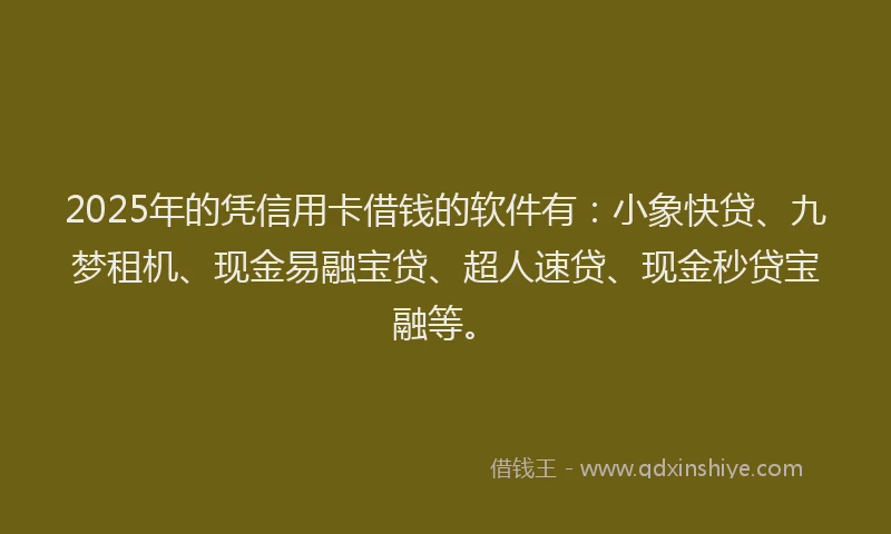2025年的凭信用卡借钱的软件有：小象快贷、九梦租机、现金易融宝贷、超人速贷、现金秒贷宝融等。