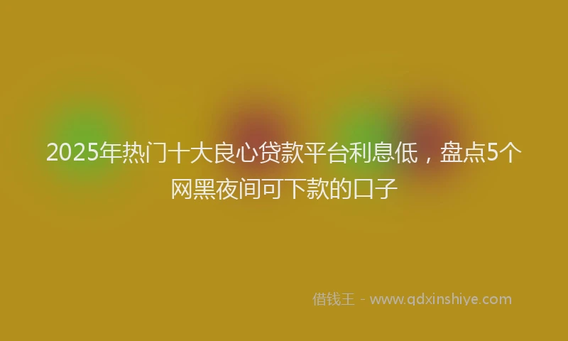 2025年热门十大良心贷款平台利息低，盘点5个网黑夜间可下款的口子