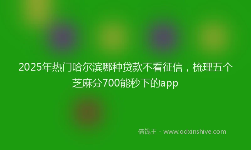 2025年热门哈尔滨哪种贷款不看征信，梳理五个芝麻分700能秒下的app