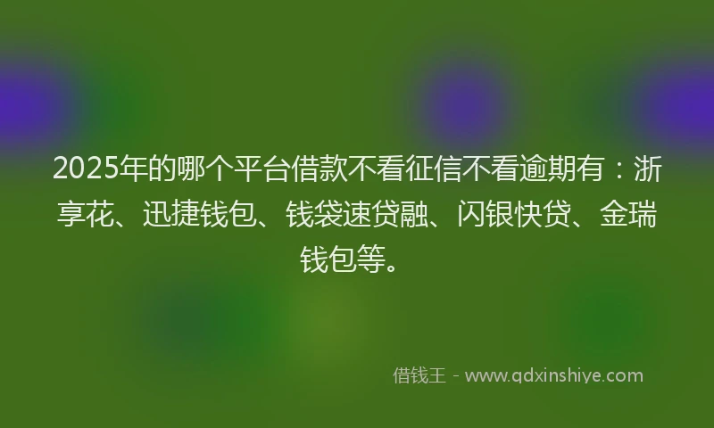 2025年的哪个平台借款不看征信不看逾期有：浙享花、迅捷钱包、钱袋速贷融、闪银快贷、金瑞钱包等。