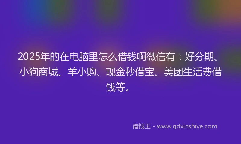2025年的在电脑里怎么借钱啊微信有：好分期、小狗商城、羊小购、现金秒借宝、美团生活费借钱等。