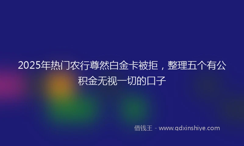 2025年热门农行尊然白金卡被拒，整理五个有公积金无视一切的口子