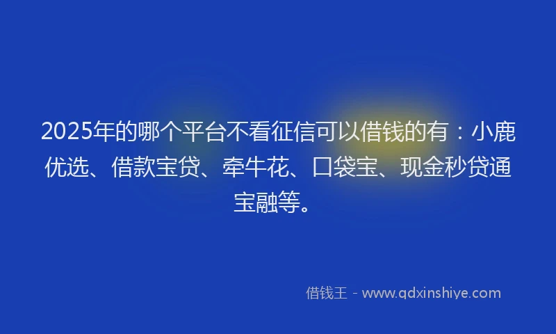 2025年的哪个平台不看征信可以借钱的有：小鹿优选、借款宝贷、牵牛花、口袋宝、现金秒贷通宝融等。