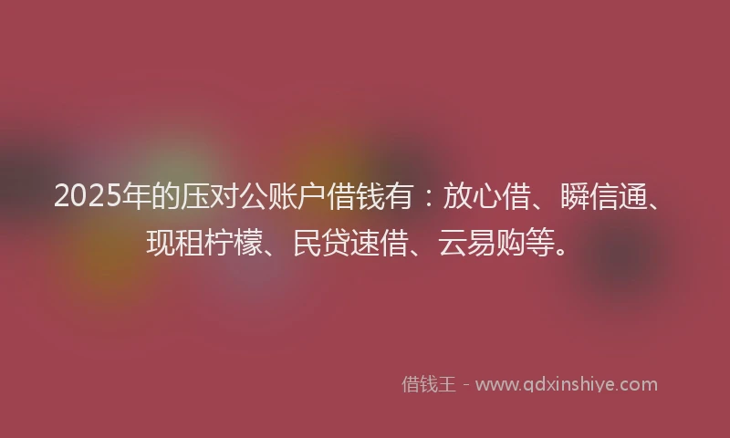 2025年的压对公账户借钱有：放心借、瞬信通、现租柠檬、民贷速借、云易购等。