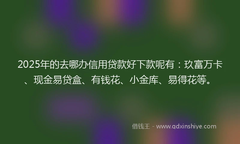 2025年的去哪办信用贷款好下款呢有：玖富万卡、现金易贷盒、有钱花、小金库、易得花等。