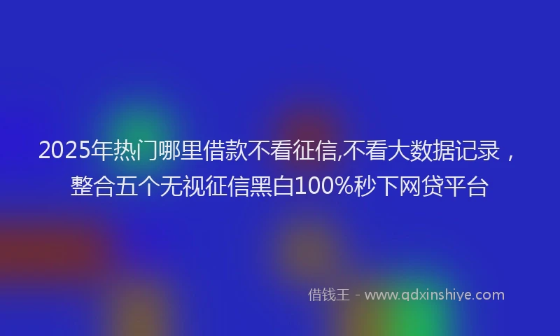 2025年热门哪里借款不看征信,不看大数据记录，整合五个无视征信黑白100%秒下网贷平台