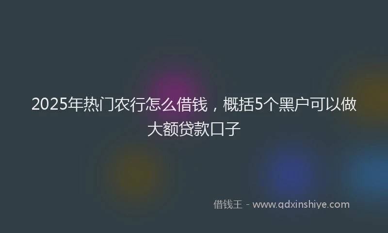 2025年热门农行怎么借钱，概括5个黑户可以做大额贷款口子