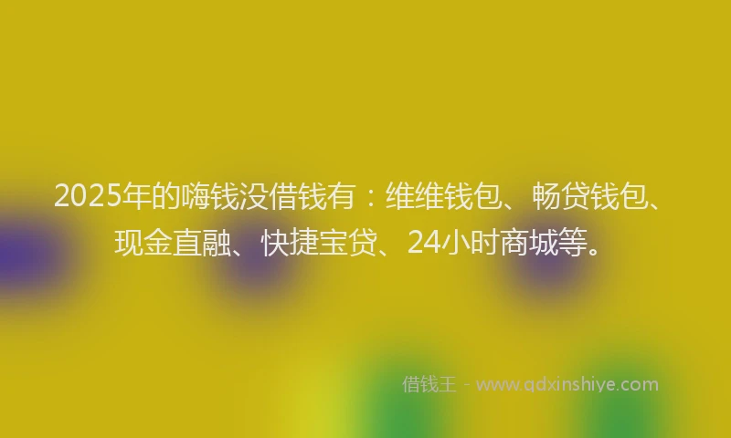 2025年的嗨钱没借钱有：维维钱包、畅贷钱包、现金直融、快捷宝贷、24小时商城等。