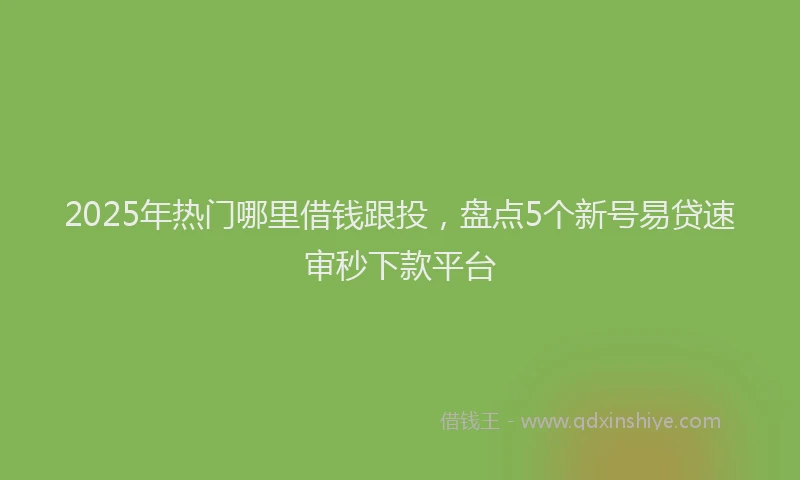 2025年热门哪里借钱跟投，盘点5个新号易贷速审秒下款平台