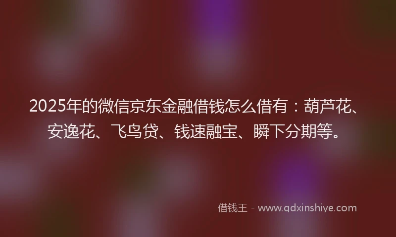 2025年的微信京东金融借钱怎么借有：葫芦花、安逸花、飞鸟贷、钱速融宝、瞬下分期等。