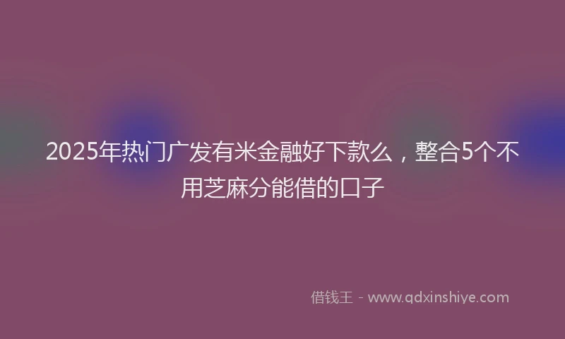 2025年热门广发有米金融好下款么，整合5个不用芝麻分能借的口子