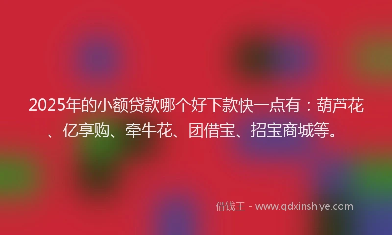 2025年的小额贷款哪个好下款快一点有：葫芦花、亿享购、牵牛花、团借宝、招宝商城等。