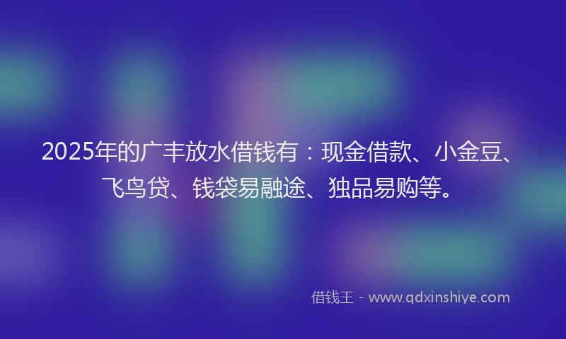 2025年的广丰放水借钱有：现金借款、小金豆、飞鸟贷、钱袋易融途、独品易购等。