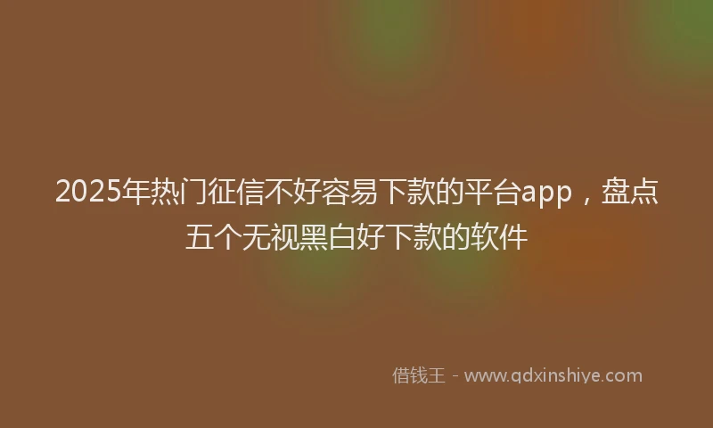 2025年热门征信不好容易下款的平台app，盘点五个无视黑白好下款的软件
