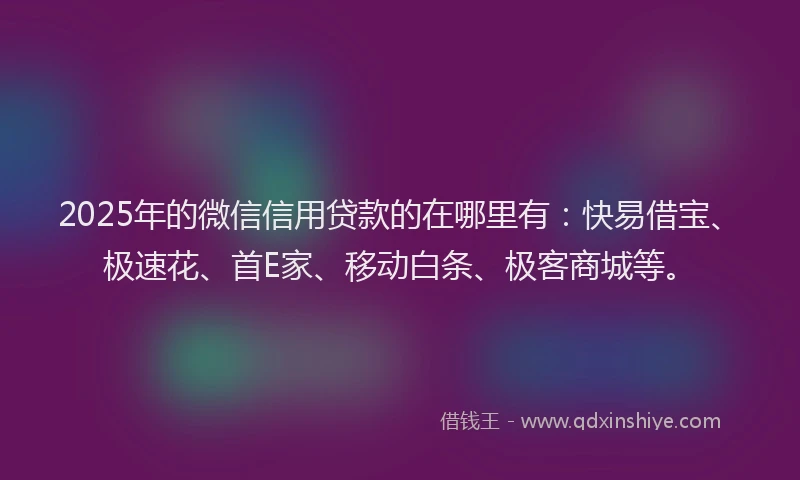2025年的微信信用贷款的在哪里有：快易借宝、极速花、首E家、移动白条、极客商城等。