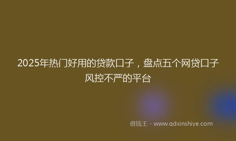 2025年热门好用的贷款口子，盘点五个网贷口子风控不严的平台