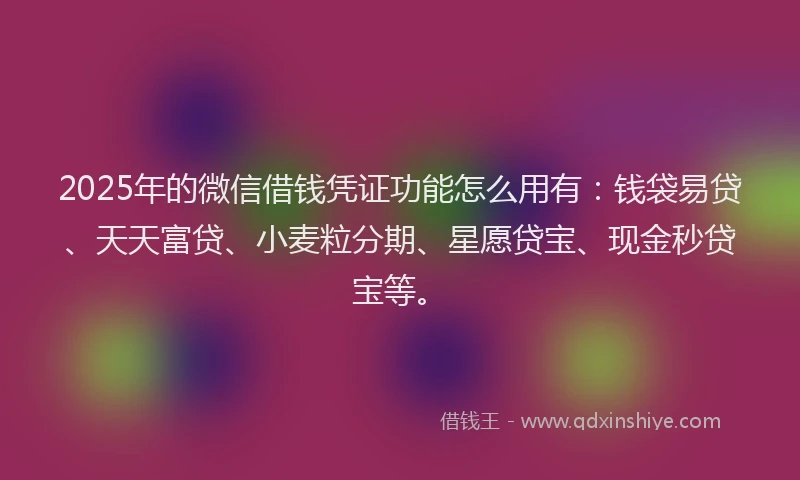2025年的微信借钱凭证功能怎么用有：钱袋易贷、天天富贷、小麦粒分期、星愿贷宝、现金秒贷宝等。