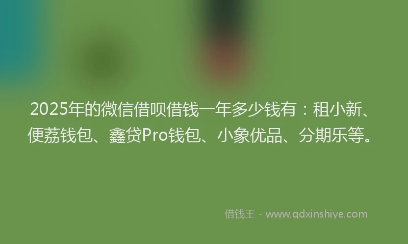 2025年的微信借呗借钱一年多少钱有：租小新、便荔钱包、鑫贷Pro钱包、小象优品、分期乐等。