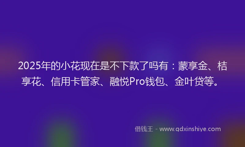 2025年的小花现在是不下款了吗有：蒙享金、桔享花、信用卡管家、融悦Pro钱包、金叶贷等。