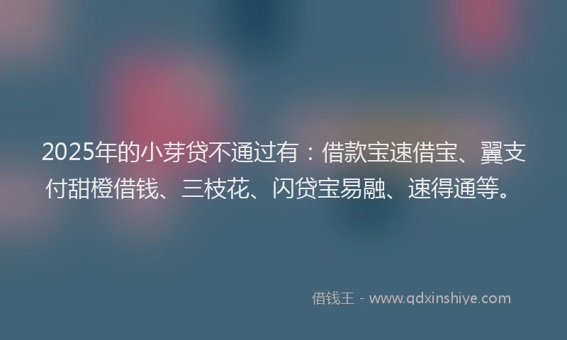 2025年的小芽贷不通过有：借款宝速借宝、翼支付甜橙借钱、三枝花、闪贷宝易融、速得通等。