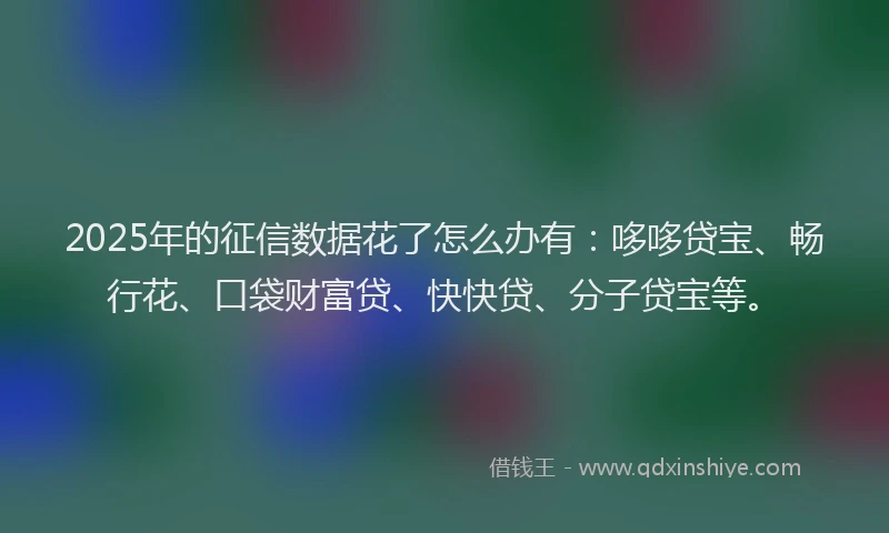 2025年的征信数据花了怎么办有：哆哆贷宝、畅行花、口袋财富贷、快快贷、分子贷宝等。